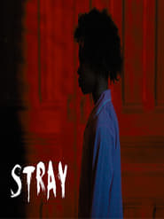 Stray' Poster