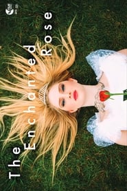 The Enchanted Rose' Poster