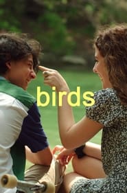 Birds' Poster