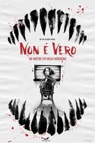 Non  vero' Poster