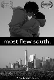 Most Flew South' Poster