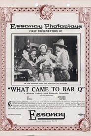 What Came to Bar Q' Poster