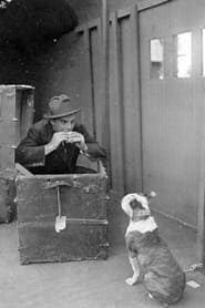 The Dog in the Baggage Car' Poster