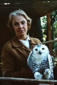 The Lady and the Owl' Poster