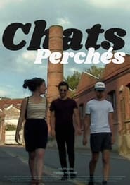 Chats perchs' Poster