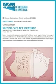 Why Do Cats Act So Weird' Poster