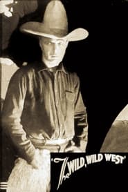 The Wild Wild West' Poster