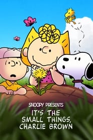 Streaming sources forSnoopy Presents Its the Small Things Charlie Brown
