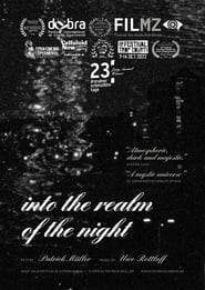Into the Realm of the Night' Poster