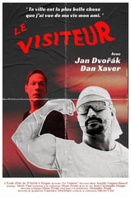 The Visitor' Poster