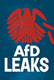 AfD Leaks The Secret Chats of the Bundestag Parliamentary Group' Poster