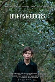 Wildflowers' Poster