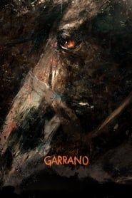 Garrano' Poster