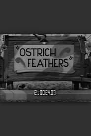 Ostrich Feathers' Poster