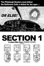 Section 1