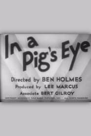 In a Pigs Eye' Poster