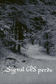 GPS Signal Lost' Poster