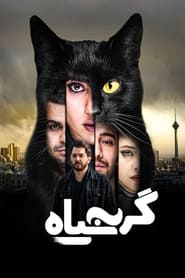 The Black Cat' Poster
