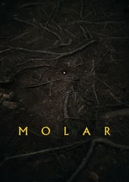 Molar' Poster