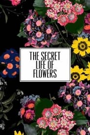 ERDEM x HM The Secret Life of Flowers
