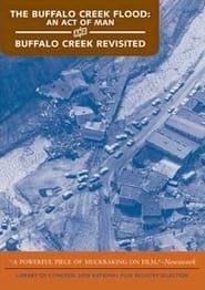 Buffalo Creek Revisited' Poster