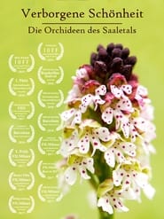 Verborgene Schnheit Die Orchideen des Saaletals' Poster