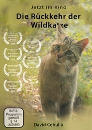 Die Rckkehr der Wildkatze' Poster