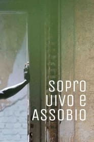 Sopro Uivo e Assobio