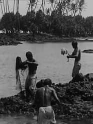 Kanaka Fishermen Casting the Throw Net Hilo HI' Poster