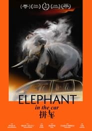 Elephant in the car' Poster