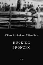 A Bucking Broncho' Poster