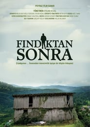 Findiktan Sonra' Poster