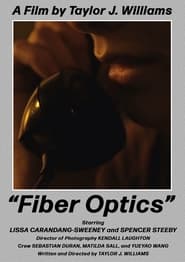 Fiber Optics' Poster