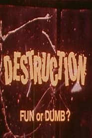 Destruction Fun or Dumb' Poster