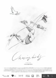 Chasing Birds' Poster