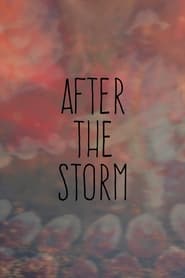 After the Storm' Poster