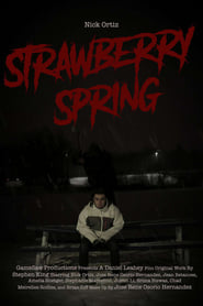 Stephen Kings Strawberry Spring' Poster