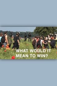 What Would It Mean to Win' Poster