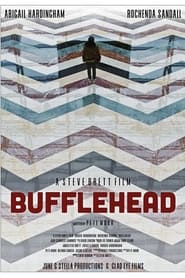 Bufflehead' Poster