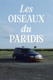 Les oiseaux du paradis' Poster