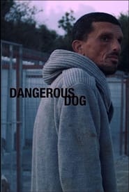 Dangerous Dog' Poster