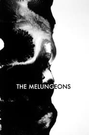 The Melungeons' Poster