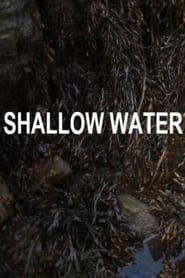 Shallow Water' Poster