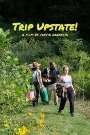 Trip Upstate' Poster