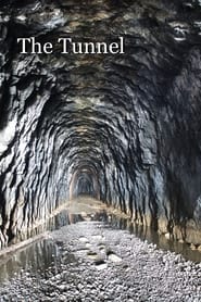 The Tunnel The Creation and Recreation of the Blue Ridge Railroad Tunnel' Poster