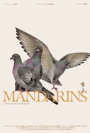 Mandarins' Poster