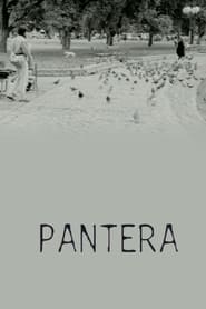 Pantera' Poster