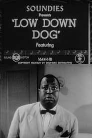Low Down Dog' Poster
