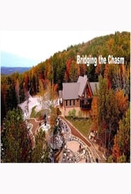 Bridging the Chasm' Poster