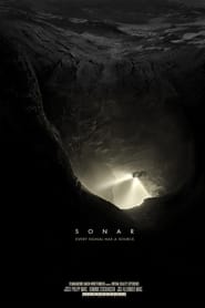 Sonar' Poster